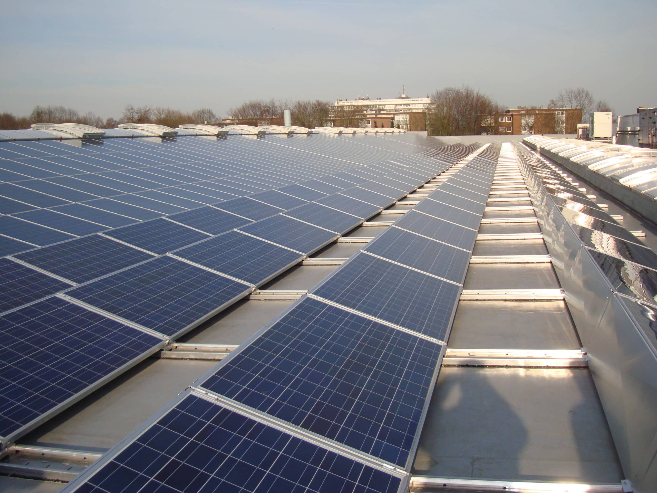 Großflächige Photovoltaikanlage auf dem Dach einer Industriehalle, mit mehreren Reihen dunkelblauer Solarmodule, die in Richtung Horizont verlaufen. Im Hintergrund sind Bäume und Gebäude einer städtischen Umgebung zu sehen.